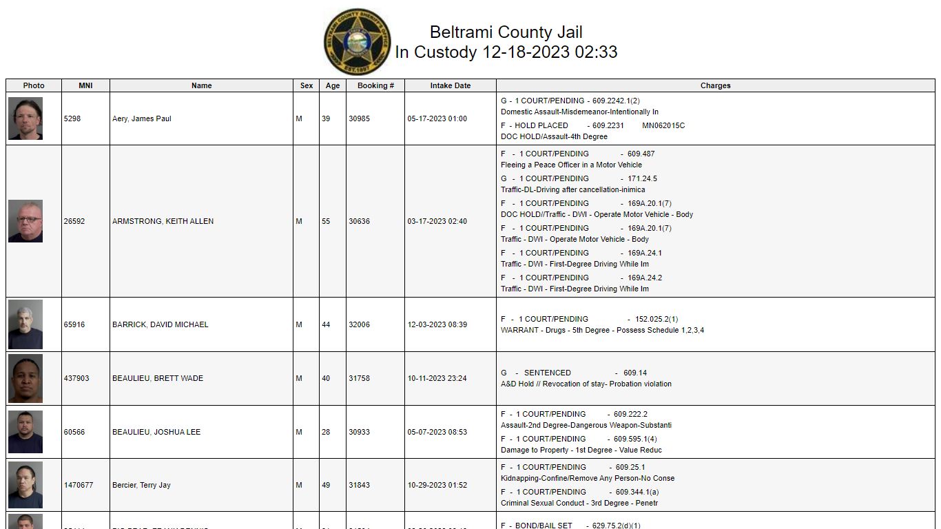 Custody - Beltrami County, Minnesota